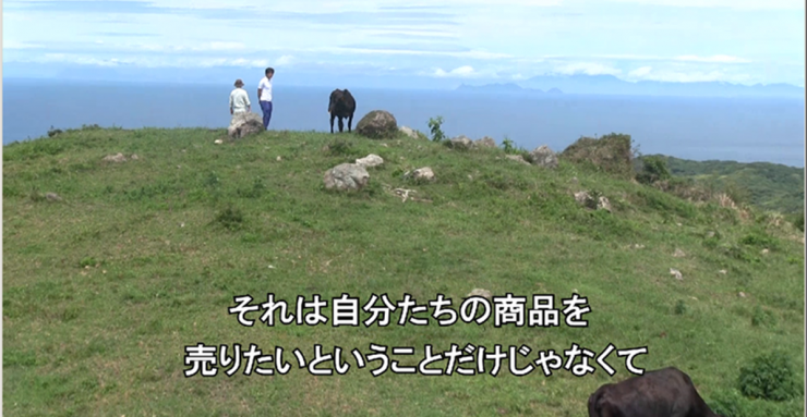 大島　島のこの風景、環境を守ること