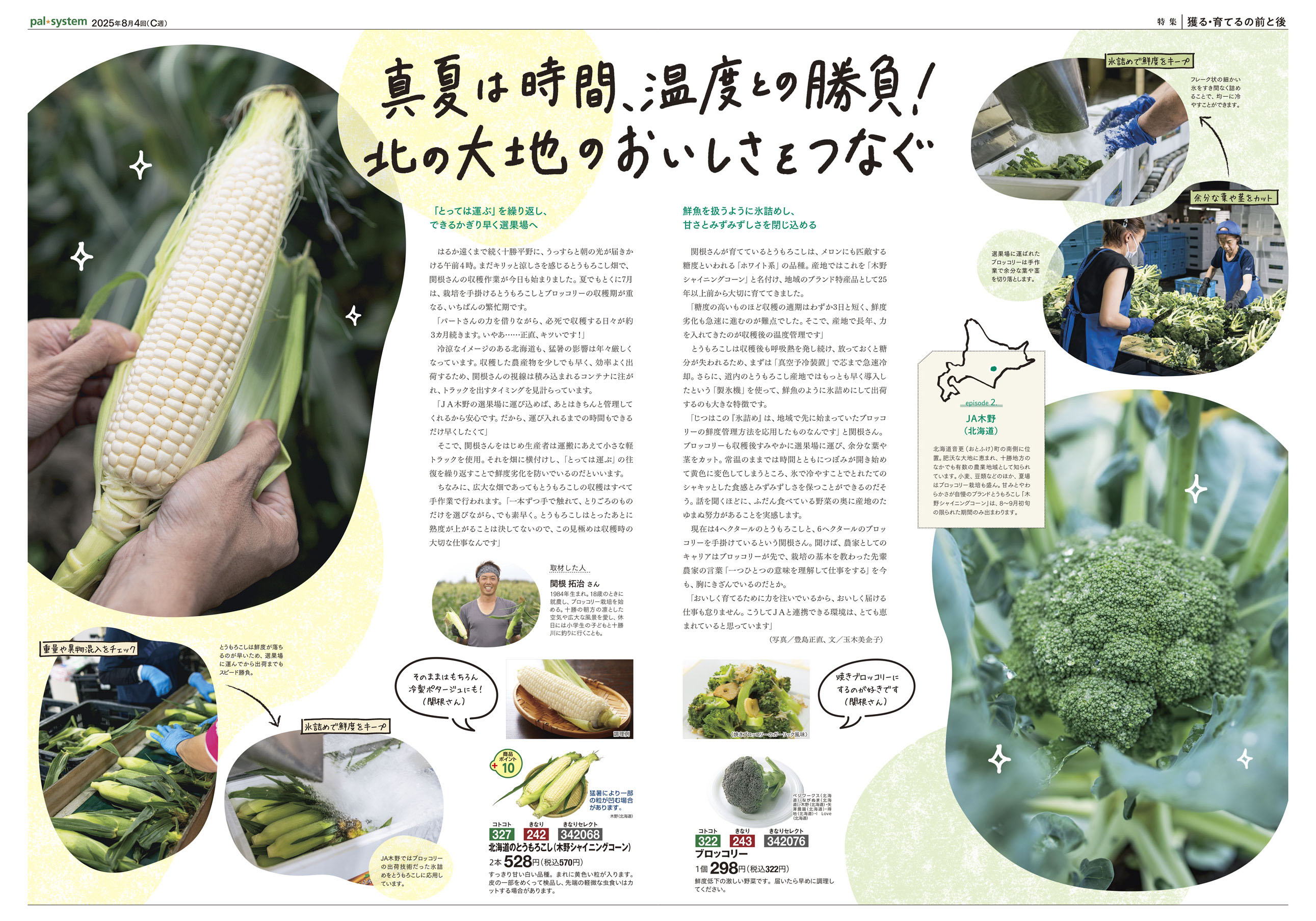 2025年8月4回　産直365P2-3