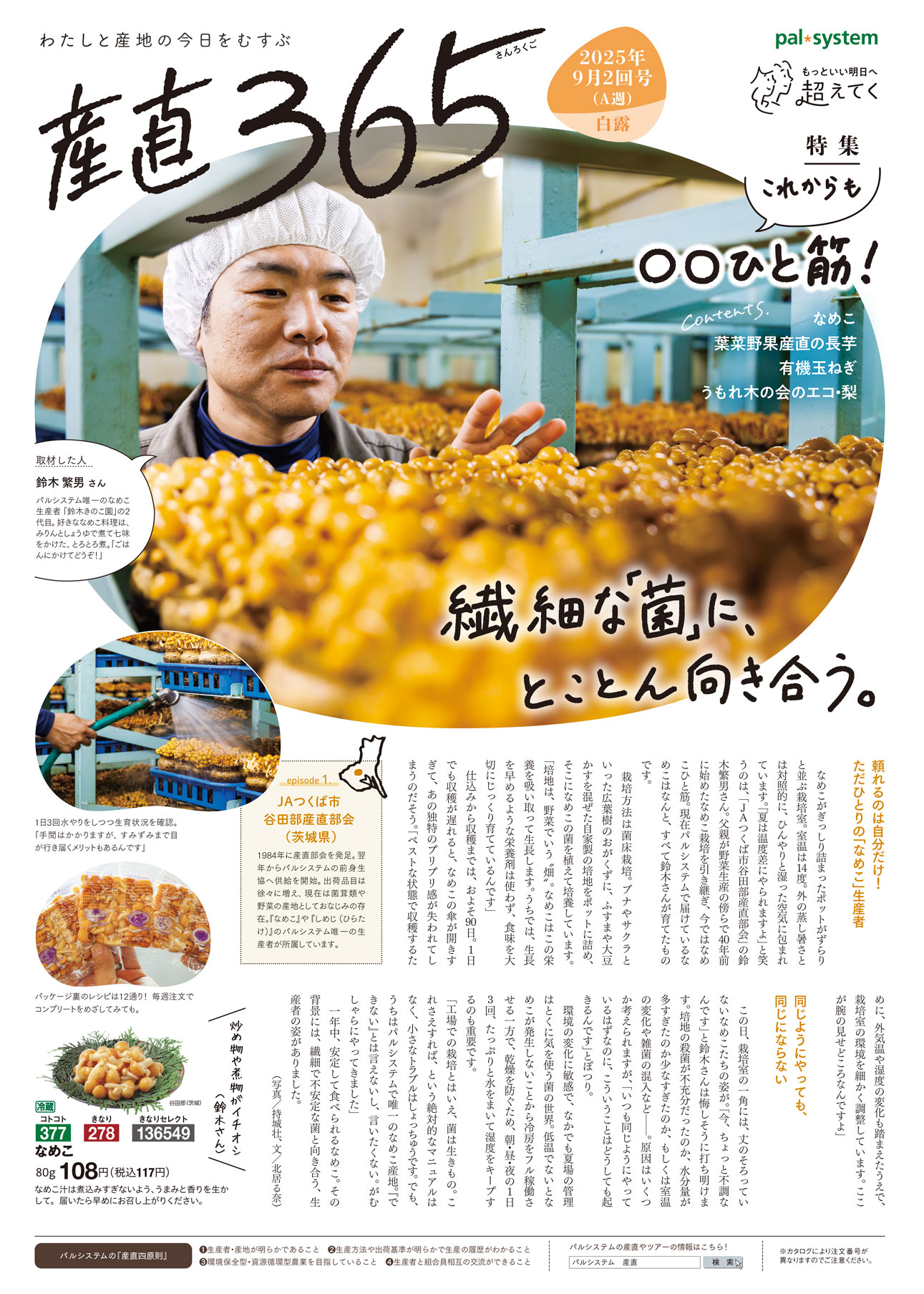 2025年9月2回　産直365P1