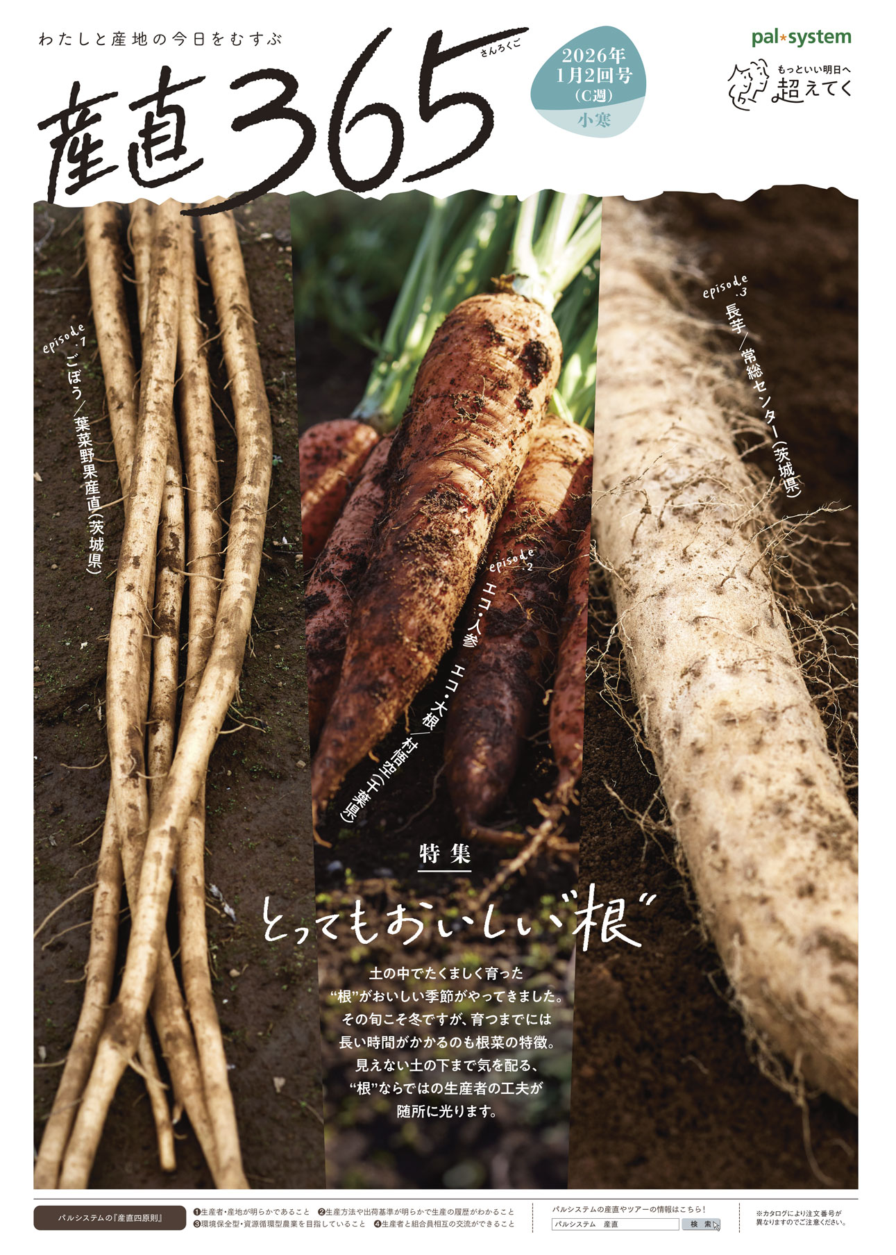 2026年1月2回　産直365P1