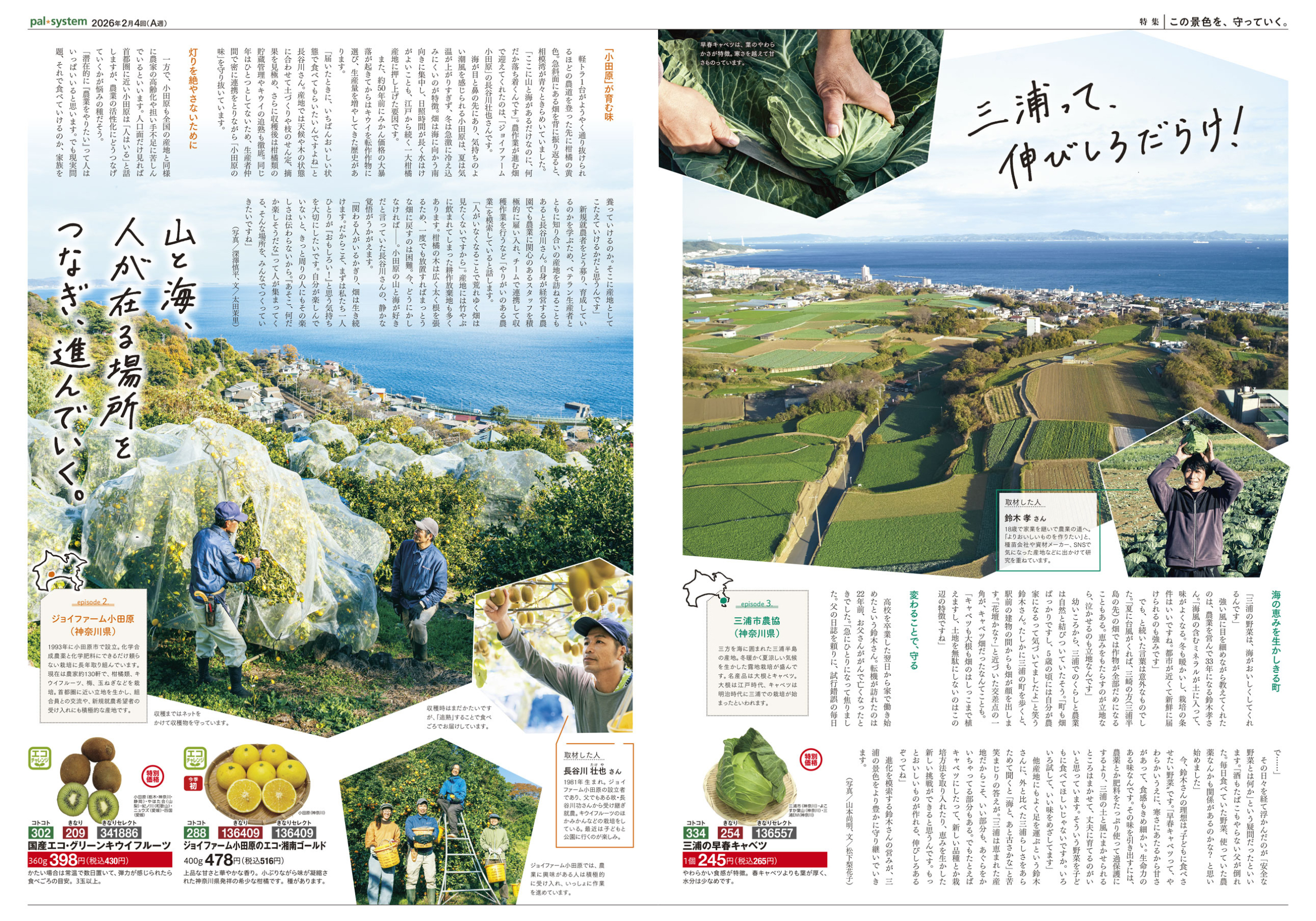 2026年2月4回　産直365P2-3