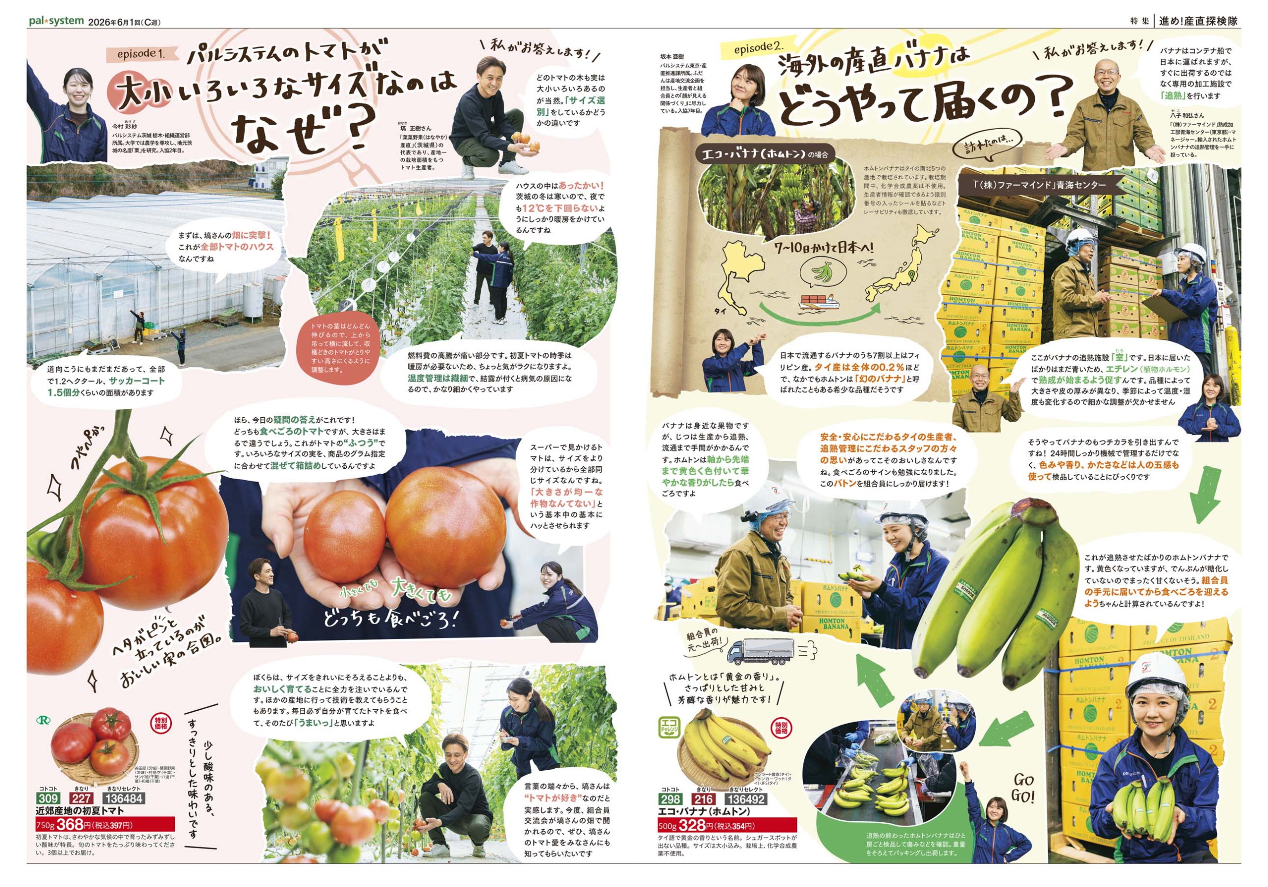 2026年6月1回　産直365P2-3