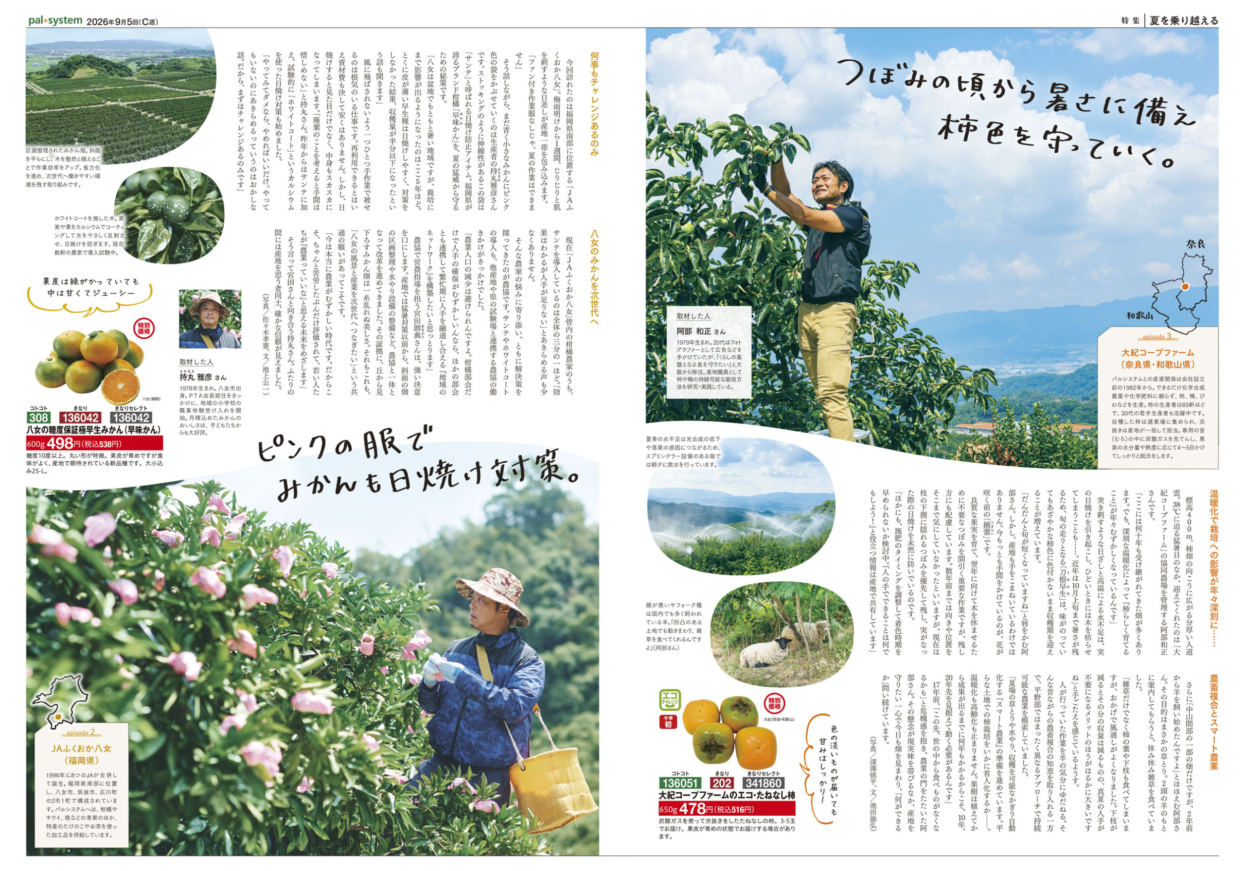 2026年9月5回　産直365P2-3